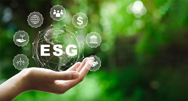 Os ESG e o impacto positivo nas Pequenas e Médias Empresas