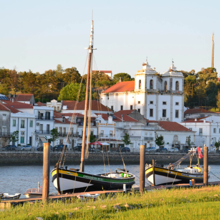 Participação em 1 Workshop