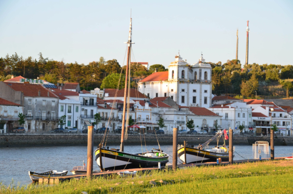 Participação em 1 Workshop
