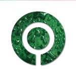 verde300